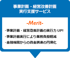 事業計画・経営改善計画実行支援サービス