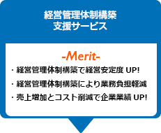 経営管理体制構築支援サービス