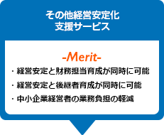 その他経営安定化支援サービス